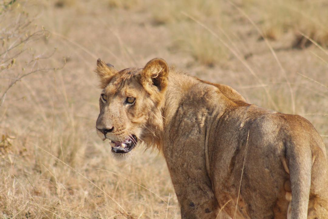 WhatsApp Image 2022-12-21 at 01.31.02 (1)