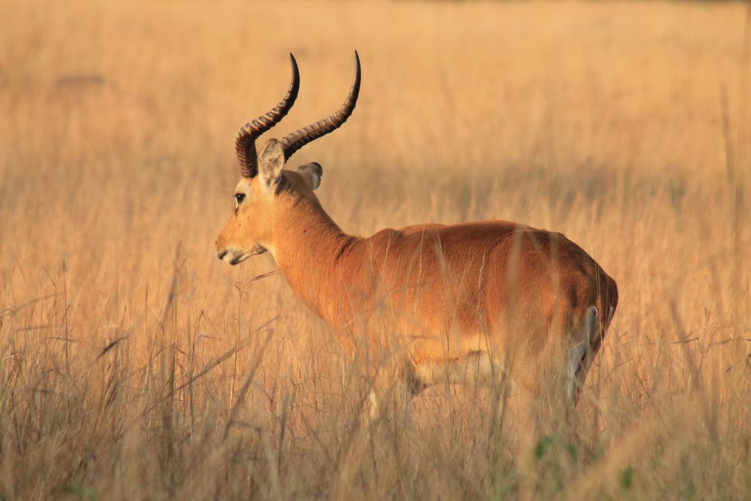 WhatsApp Image 2022-12-21 at 01.31.04